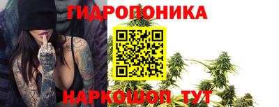 прущие грибы Коммунар