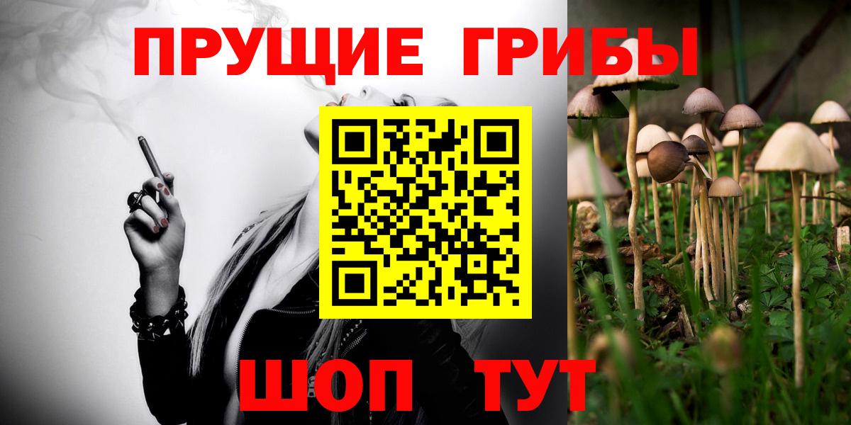 Галлюциногенные грибы прущие грибы Армавир