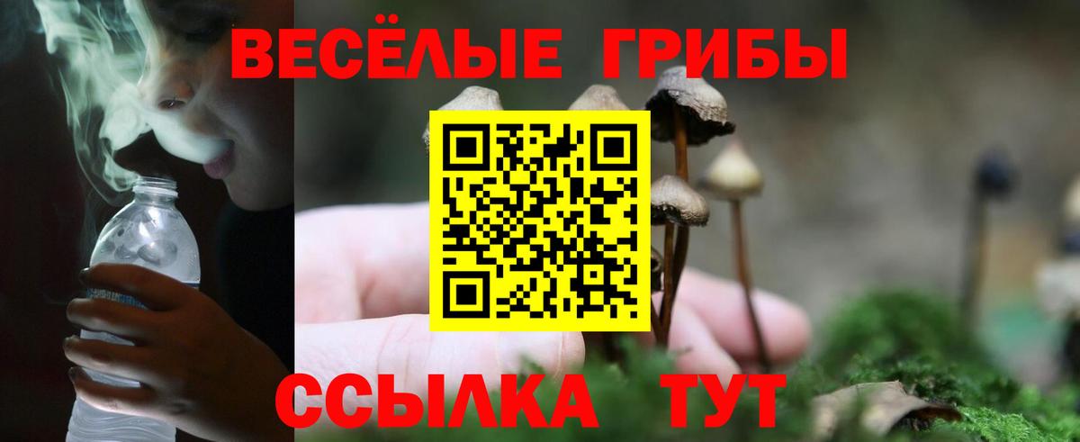 Галлюциногенные грибы прущие грибы  Галлюциногенные грибы ЛСД  Армавир  Вход с VPN 